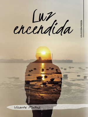cover image of Luz encendida